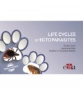 LIFE CYCLES OF ECTOPARASITES