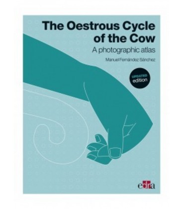 THE OESTROUS CYCLE OF THE COW