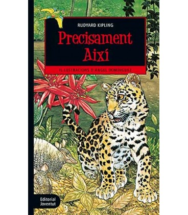 PRECISAMENT AIXI (CATALAN)