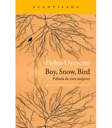 BOY SNOW BIRD FABULA DE TRES MUJERES