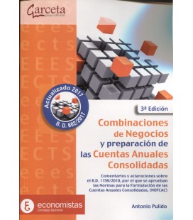 COMBINACIONES DE NEGOCIOS Y PREPARACION DE LAS CUENTAS ANUALES 3 ED
