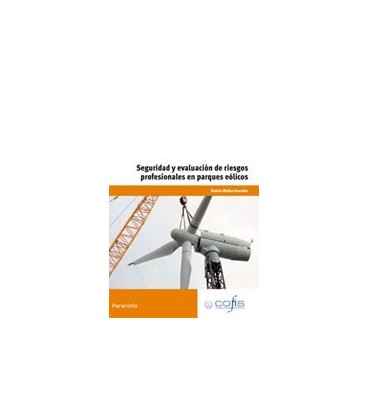 SEGURIDAD Y EVALUACION DE RIESGOS PROFESIONALES EN PARQUES EOLICOS