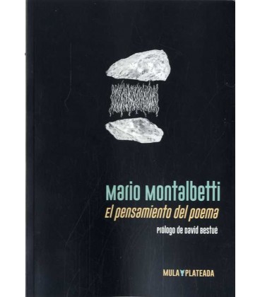PENSAMIENTO DEL POEMA