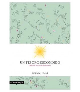UN TESORO ESCONDIDO
