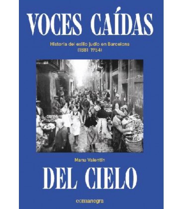 VOCES CAIDAS DEL CIELO