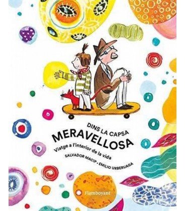 DINS LA CAPSA MERAVELLOSA