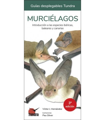 MURCIELAGOS