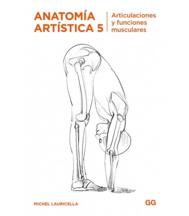 ANATOMIA ARTISTICA 5 ARTICULACIONES Y FUNCIONES MUSCULARES