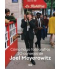 COMO HAGO FOTOGRAFIAS 20 CONSEJOS DE JOEL MEYEROWITZ
