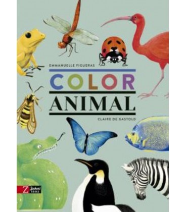 COLOR ANIMAL