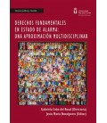 DERECHOS FUNDAMENTALES EN ESTADO DE ALARMA:UNA APROXIMACION MULTIDISCI