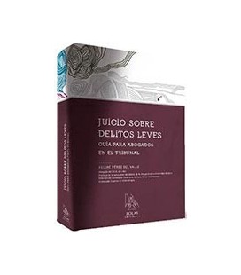 JUICIO SOBRE DELITOS LEVES GUIA PARA ABOGADOS EN EL TRIBUNAL