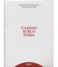 CAMINO SURCO FORJA