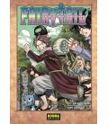 FAIRY TAIL DESPUES DEL GRAN TORNEO DE LA MAGIA (NOVELA)