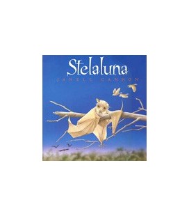 STELALUNA (CARTONE)