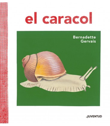 CARACOL