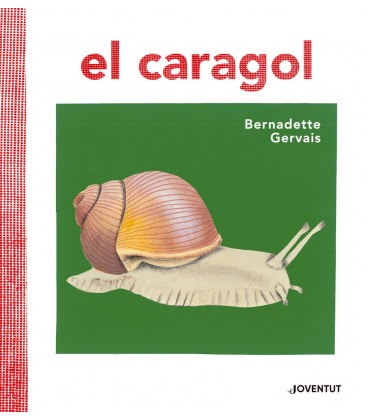CARAGOL (CATALAN)