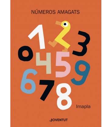 NUMEROS AMAGATS