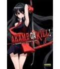 AKAME GA KILL! 01