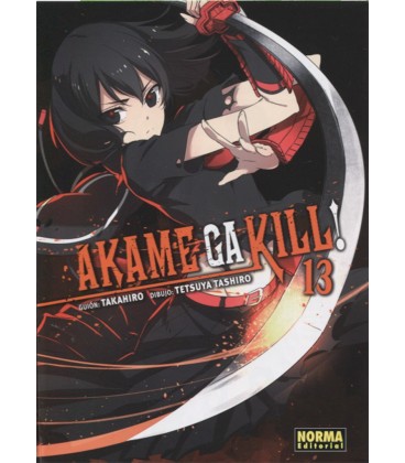 AKAME GA KILL! 13