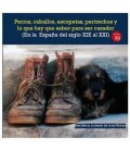 PERROS CABALLOS ESCOPETAS PERTRECHOS LO QUE HAY QUE SABER PARA CAZADOR