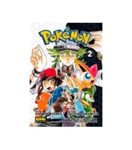 POKEMON 27 NEGRO Y BLANCO 02