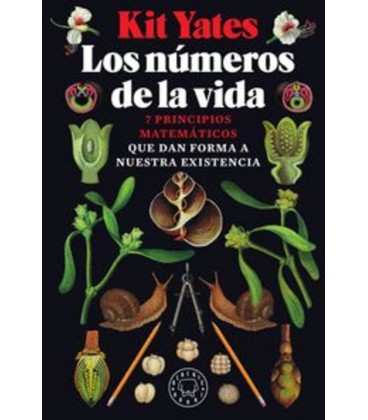 NUMEROS DE LA VIDA