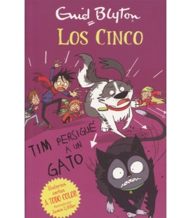 CINCO TIM PERSIGUE A UN GATO