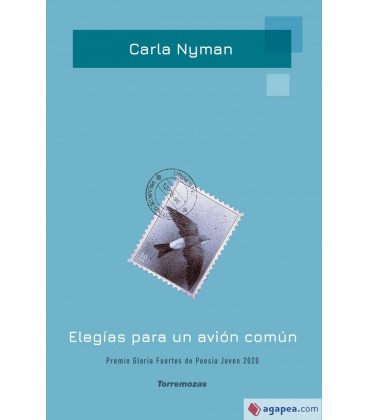 ELEGIAS PARA UN AVION COMUN