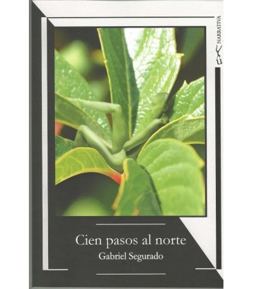 CIEN PASOS AL NORTE