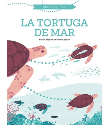 TORTUGA DE MAR