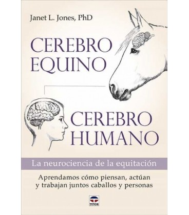CEREBRO EQUINO