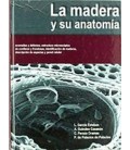MADERA Y SU ANATOMIA