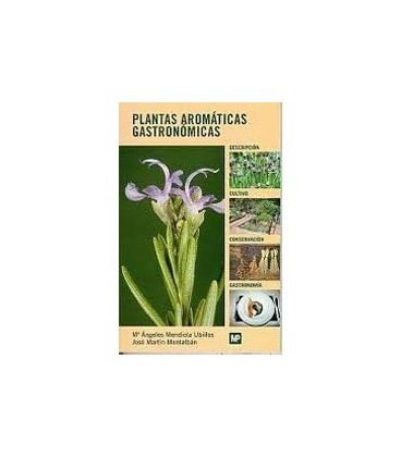 PLANTAS AROMATICAS GASTRONOMICAS