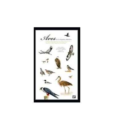 AVES DE LA ESPAÑA ATLANTICA