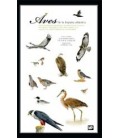 AVES DE LA ESPAÑA ATLANTICA