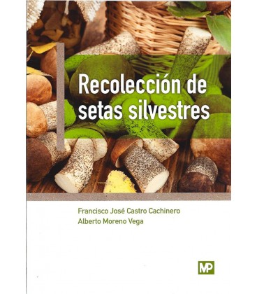 RECOLECCION DE SETAS SILVESTRES