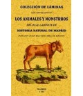 COLECCION DE LAMINAS QUE REPRESENTAN LOS ANIMALES Y MONSTRUOS
