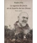 AGONIA DE JESUS EN EL HUERTO DE LOS OLIVOS