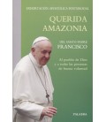 QUERIDA AMAZONIA EXHORTACION APOSTOLICA POSTSINODAL