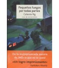 PEQUEÑOS FUEGOS POR TODAS PARTES
