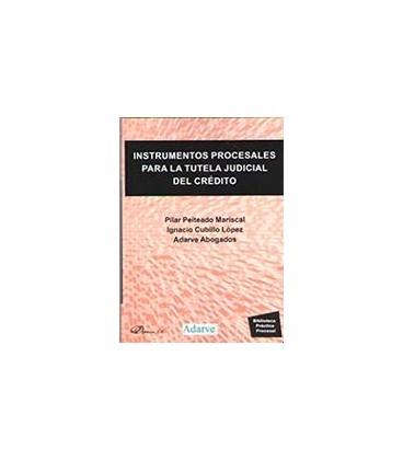 INSTRUMENTOS PROCESALES PARA LA TUTELA JUDICIAL DEL CREDITO