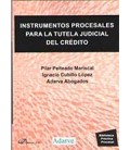 INSTRUMENTOS PROCESALES PARA LA TUTELA JUDICIAL DEL CREDITO