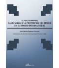 MATRIMONIO LAS FAMILIAS Y LA PROTECCION DEL MENOR EN EL AMBITO INTERNA