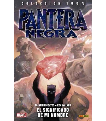 PANTERA NEGRA 02 EL SIGNIFICADO DE MI NOMBRE