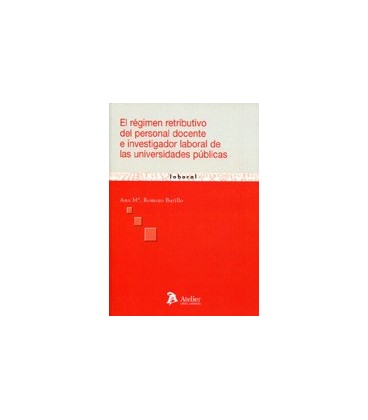 REGIMEN RETRIBUTIVO DEL PERSONAL DOCENTE E INVESTIGADOR LABORAL