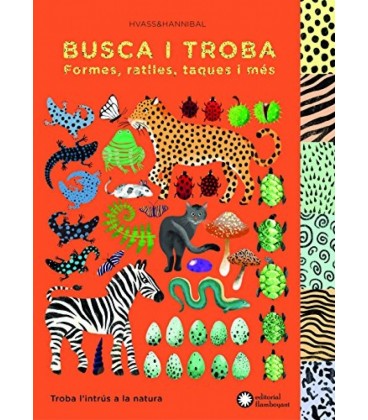 BUSCA I TROBA FORMES