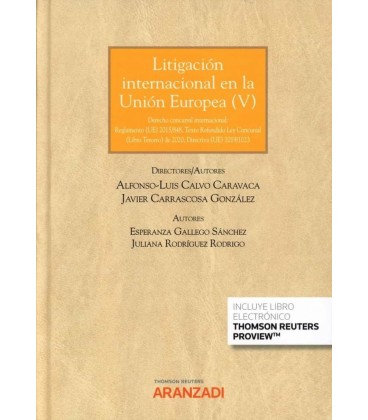 LITIGACION INTERNACIONAL EN LA UNION EUROPEA V