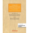 LITIGACION INTERNACIONAL EN LA UNION EUROPEA V