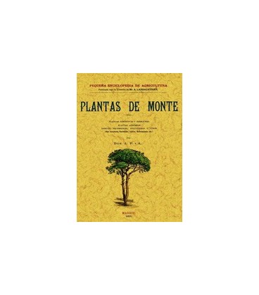 PLANTAS DE MONTE
